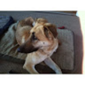 Meet your Posher, Adrith